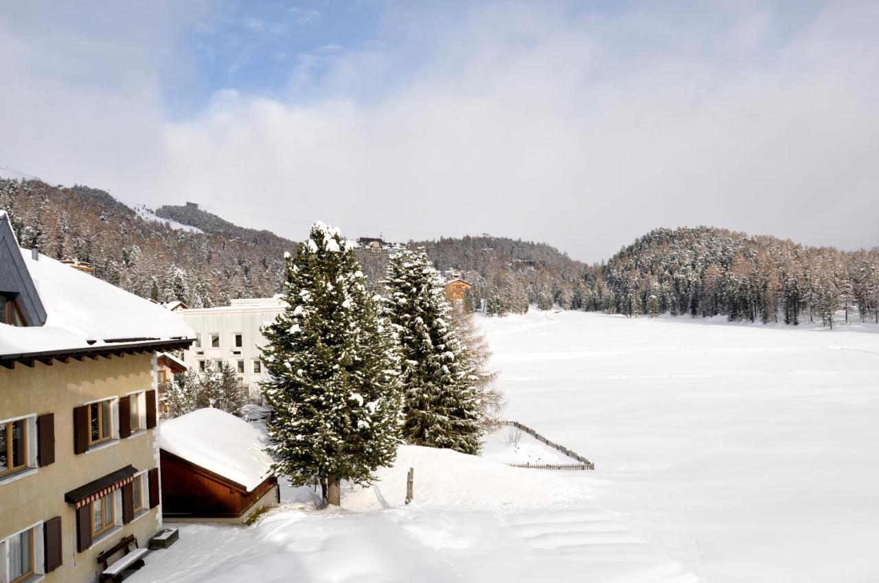 Cosy Apartment Facing Piz Rosatsch Санкт-Мориц Экстерьер фото