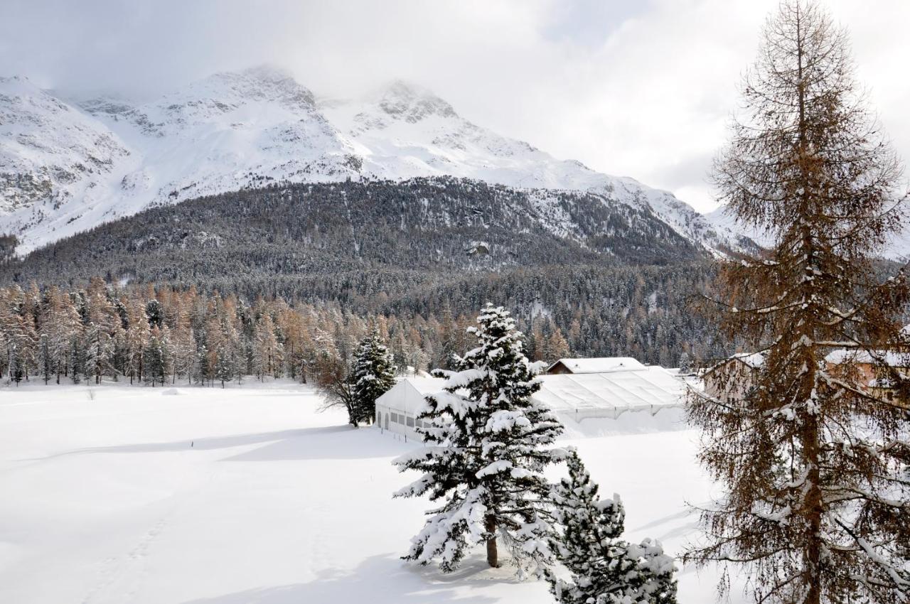 Cosy Apartment Facing Piz Rosatsch Санкт-Мориц Экстерьер фото